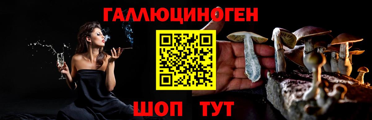 Галлюциногенные грибы GOLDEN TEACHER  Вход с VPN  наркота  Тихорецк 